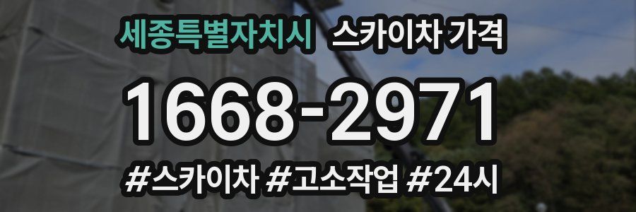 세종특별자치시 스카이차 가격