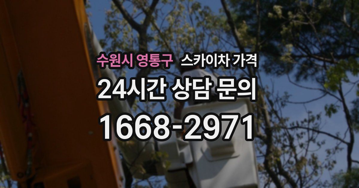 수원시 영통구 스카이차 가격