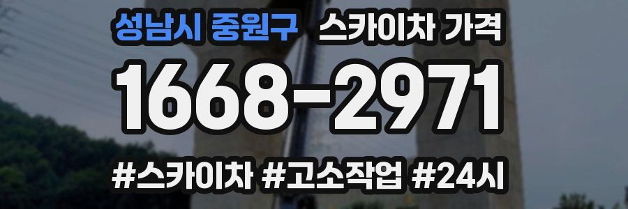 성남시 중원구 스카이차 가격
