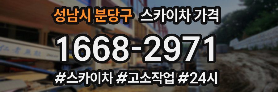 성남시 분당구 스카이차 가격