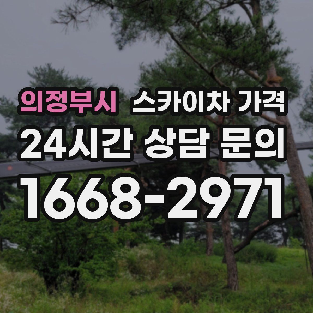 의정부시 스카이차 가격