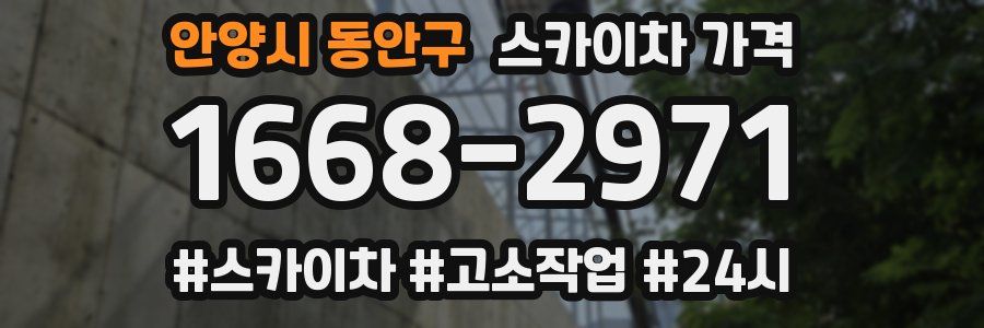 안양시 동안구 스카이차 가격