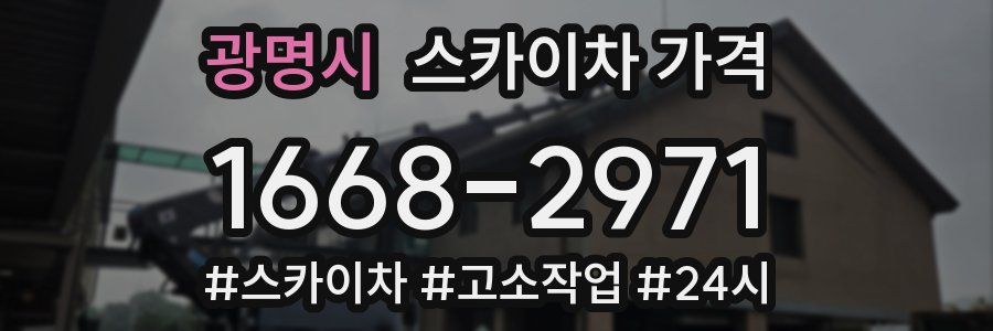 광명시 스카이차 가격