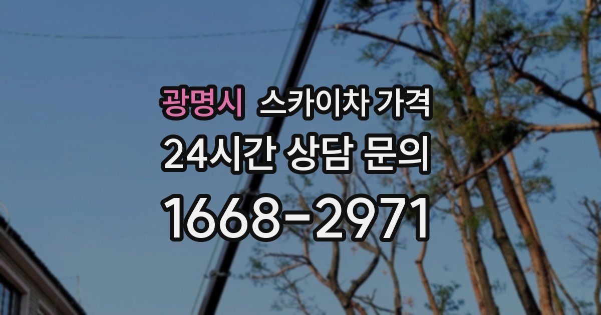 광명시 스카이차 가격