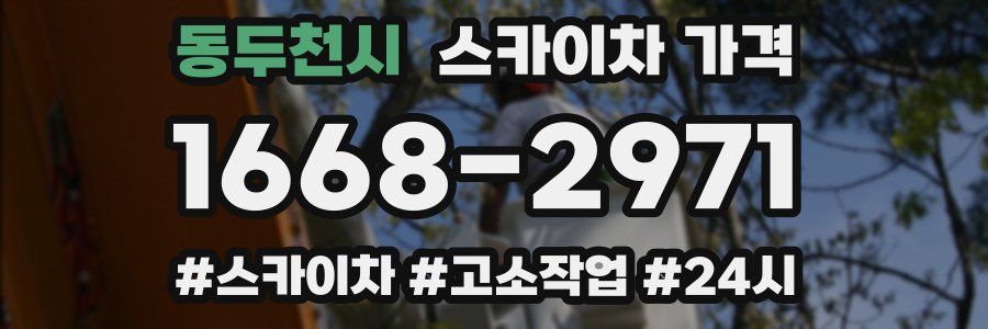 동두천시 스카이차 가격