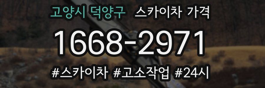 고양시 덕양구 스카이차 가격