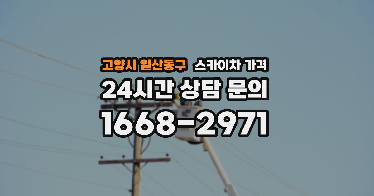 고양시 일산동구 스카이차 가격