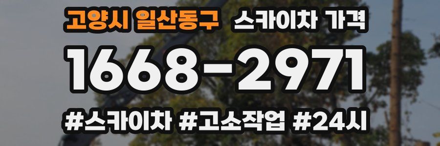 고양시 일산동구 스카이차 가격