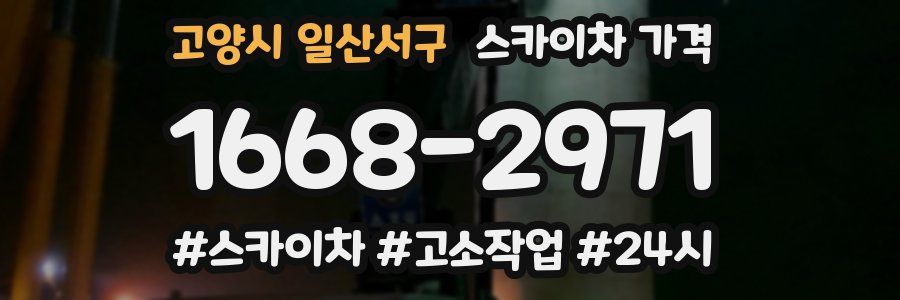 고양시 일산서구 스카이차 가격