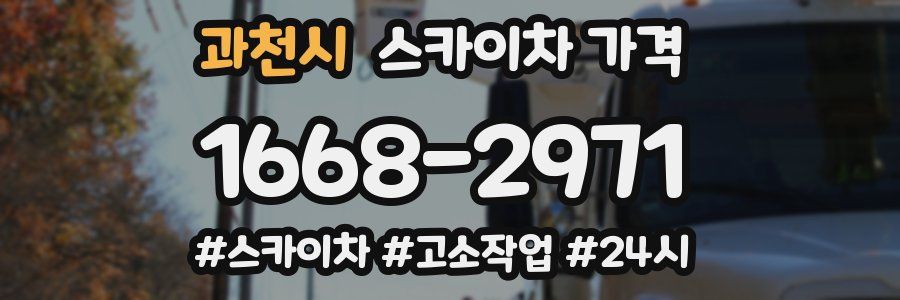 과천시 스카이차 가격