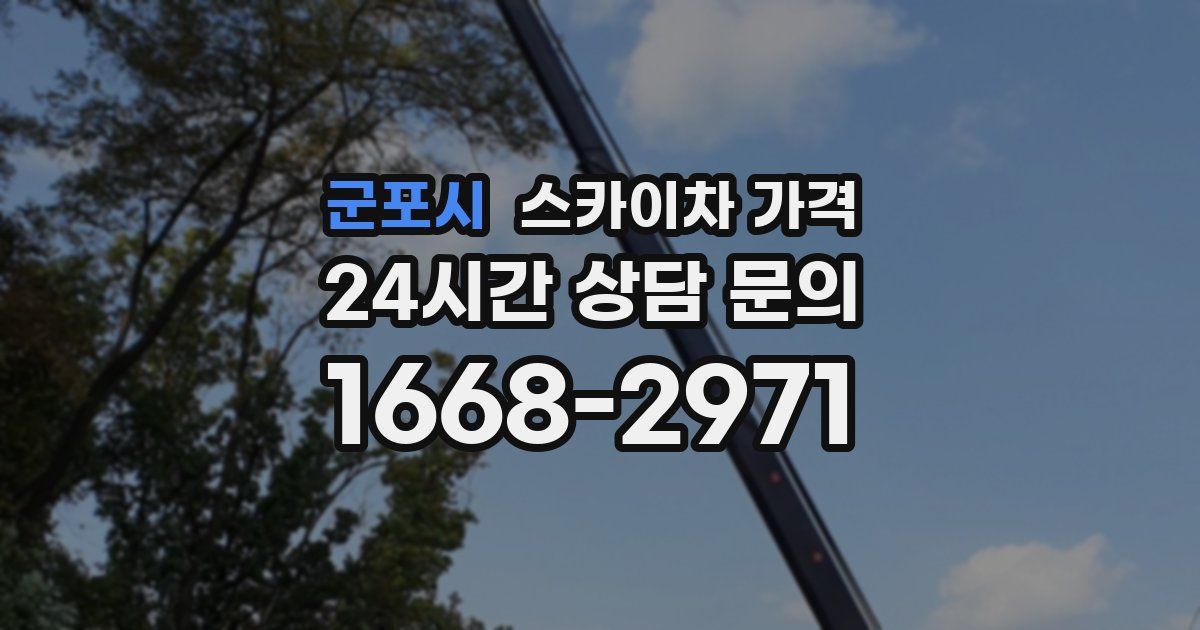 군포시 스카이차 가격