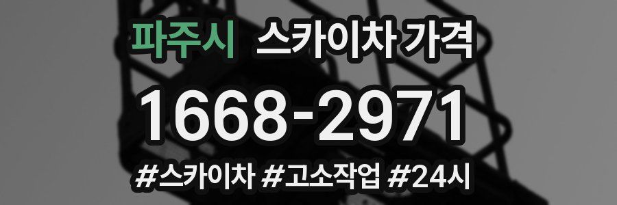 파주시 스카이차 가격