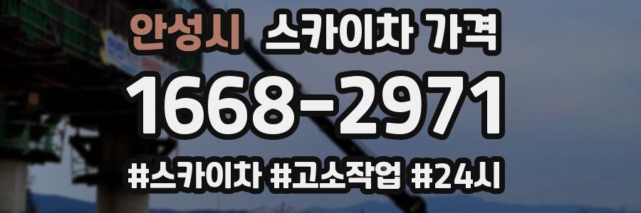 안성시 스카이차 가격