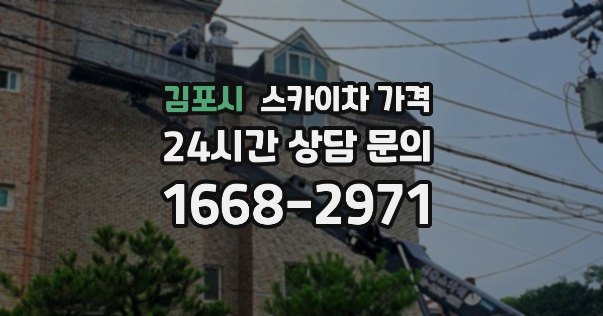 김포시 스카이차 가격