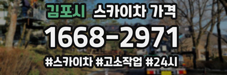 김포시 스카이차 가격