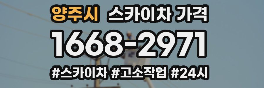 양주시 스카이차 가격