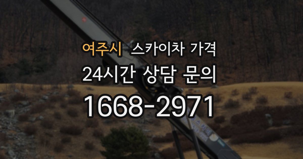 여주시 스카이차 가격