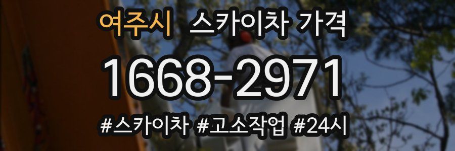 여주시 스카이차 가격