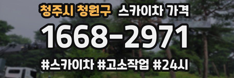 청주시 청원구 스카이차 가격