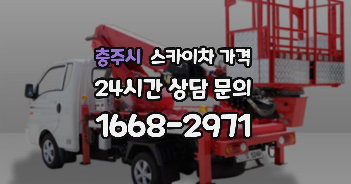 충주시 스카이차 가격