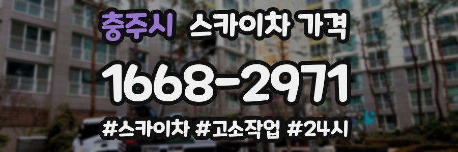 충주시 스카이차 가격