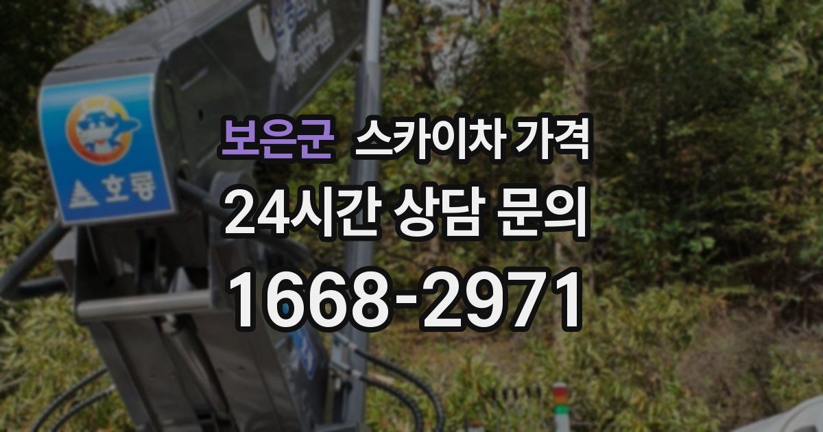 보은군 스카이차 가격