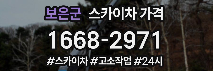 보은군 스카이차 가격