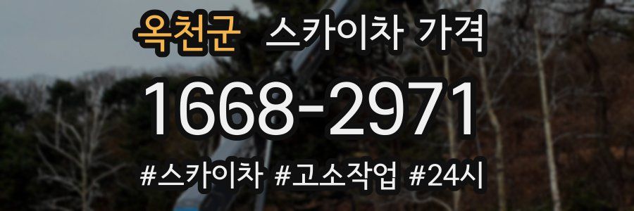 옥천군 스카이차 가격