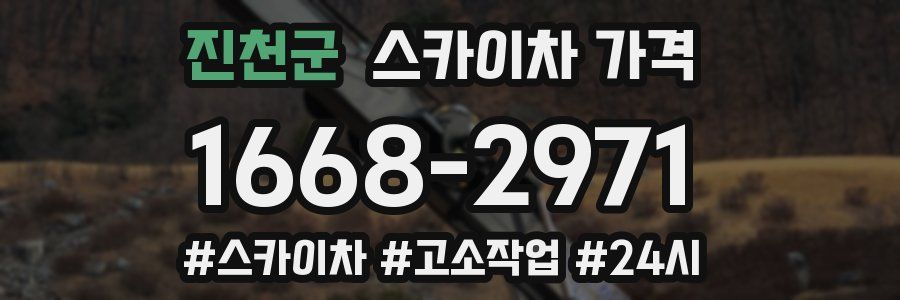 진천군 스카이차 가격