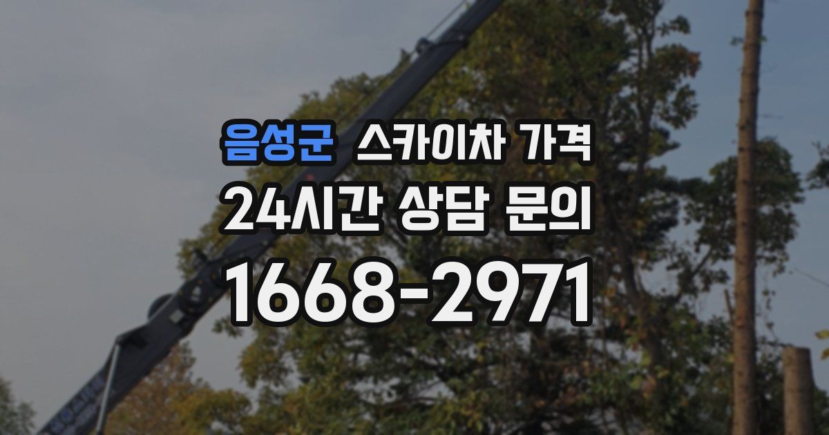 음성군 스카이차 가격