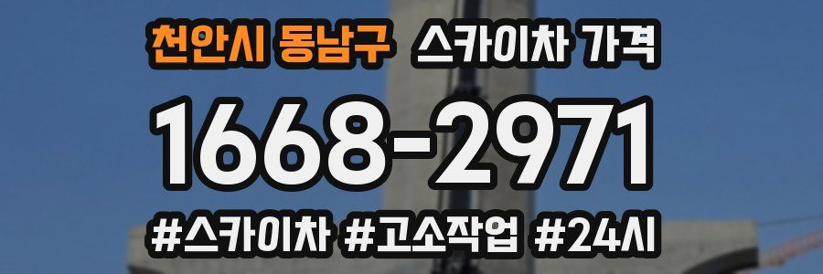 천안시 동남구 스카이차 가격