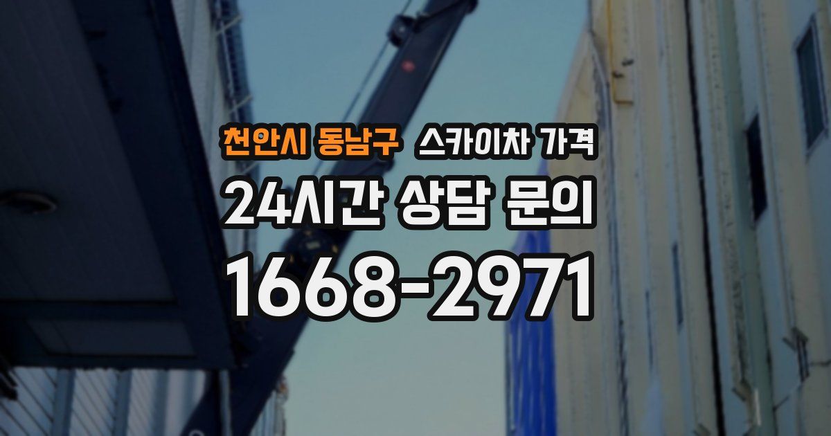 천안시 동남구 스카이차 가격