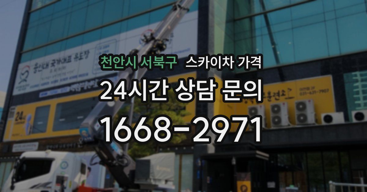 천안시 서북구 스카이차 가격