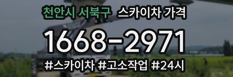 천안시 서북구 스카이차 가격