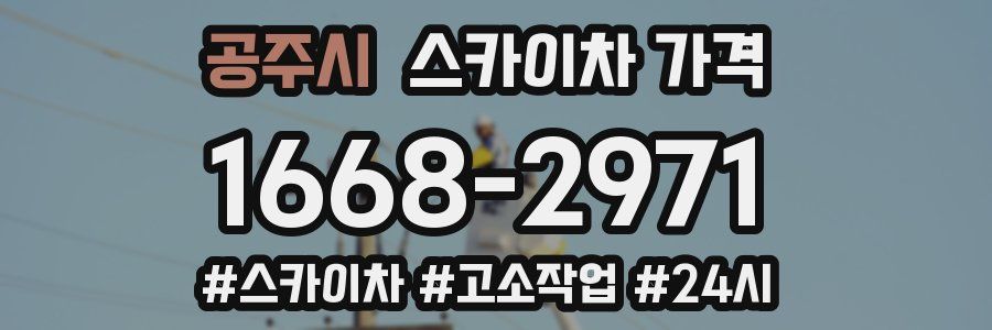 공주시 스카이차 가격