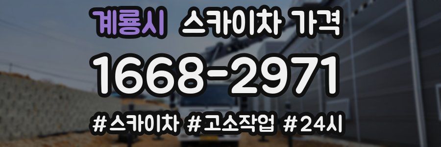 계룡시 스카이차 가격