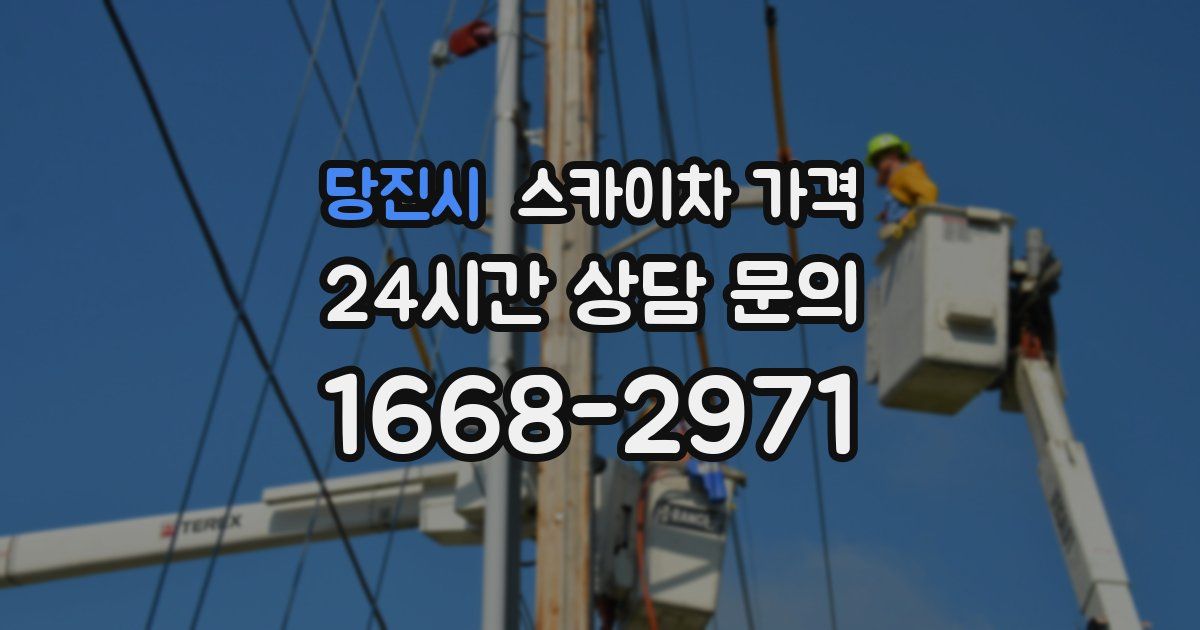 당진시 스카이차 가격