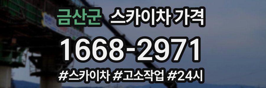 금산군 스카이차 가격