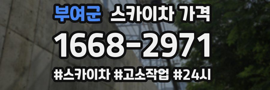 부여군 스카이차 가격