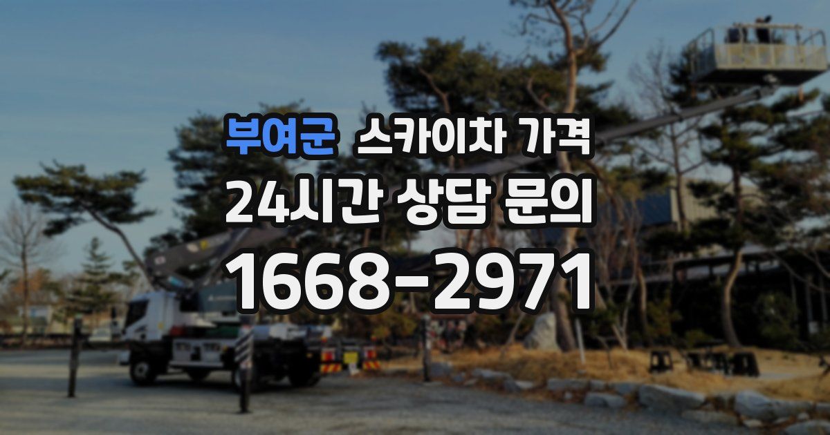 부여군 스카이차 가격
