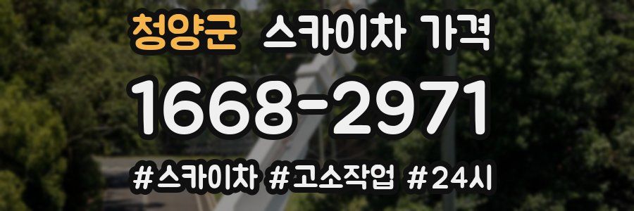 청양군 스카이차 가격