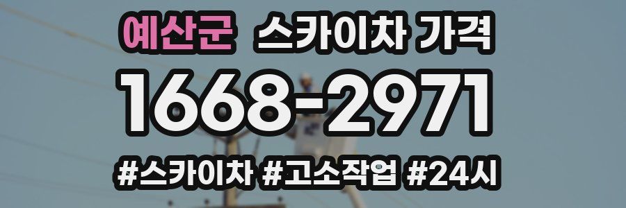 예산군 스카이차 가격