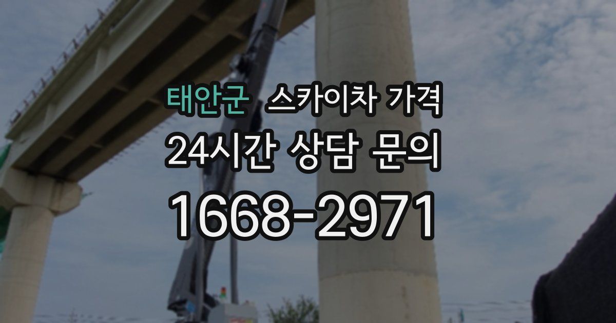 태안군 스카이차 가격