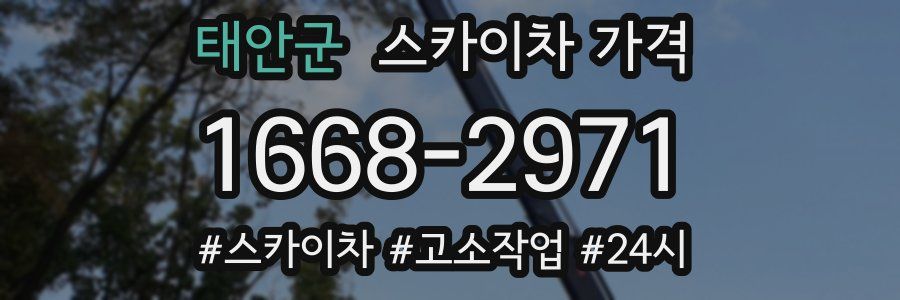 태안군 스카이차 가격