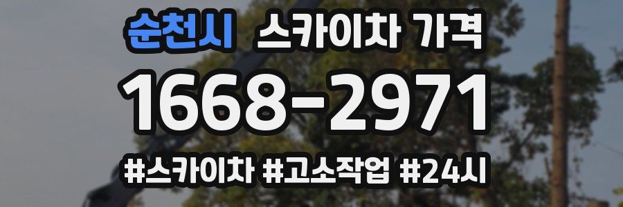 순천시 스카이차 가격