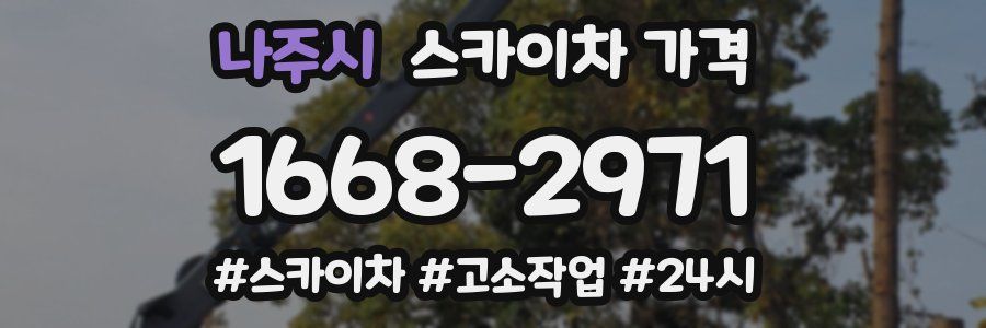 나주시 스카이차 가격