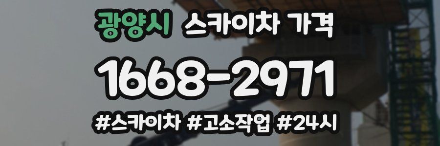 광양시 스카이차 가격