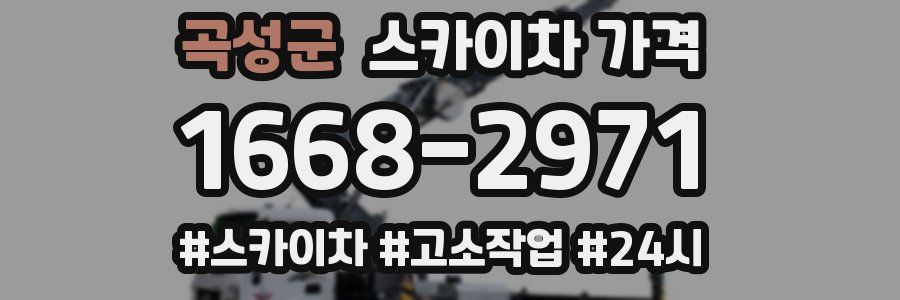 곡성군 스카이차 가격