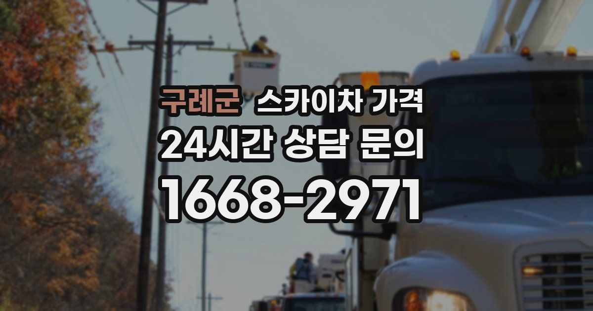 구례군 스카이차 가격