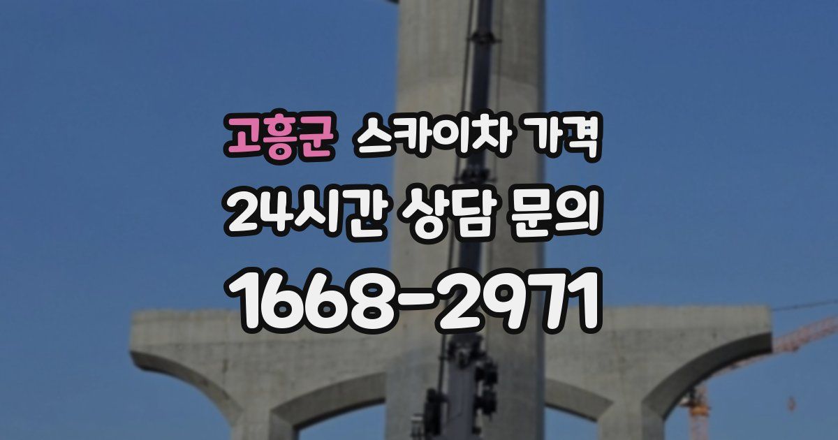 고흥군 스카이차 가격